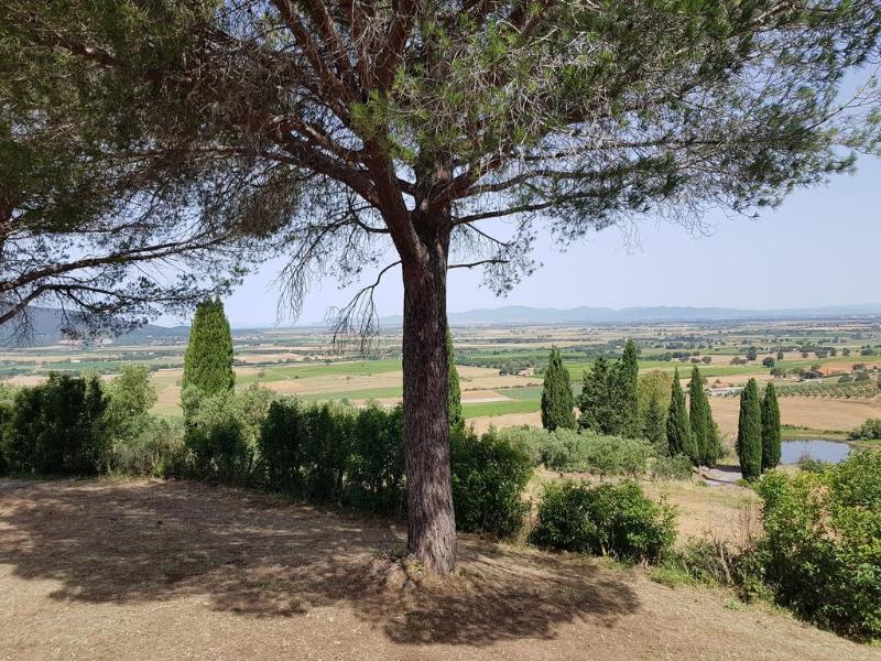 Poggio Alto Agrioturismo Villa Grosseto Eksteriør billede