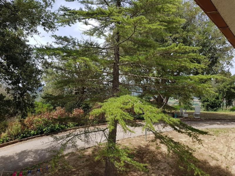 Poggio Alto Agrioturismo Villa Grosseto Eksteriør billede
